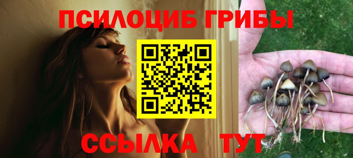 Боровичи  Галлюциногенные грибы Magic Shrooms  Вход с VPN 